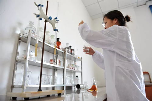 蛻變之路 從復(fù)合包裝廢棄物資源化工廠到城市環(huán)境綜合服務(wù)運(yùn)營(yíng)商——專訪張婷